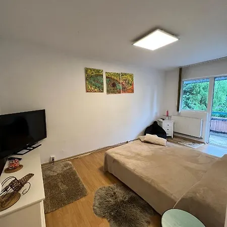 شقة Apartament Cu O Camera In Zorilor ! كلوج-نابوكا