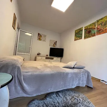 شقة Apartament Cu O Camera In Zorilor ! كلوج-نابوكا